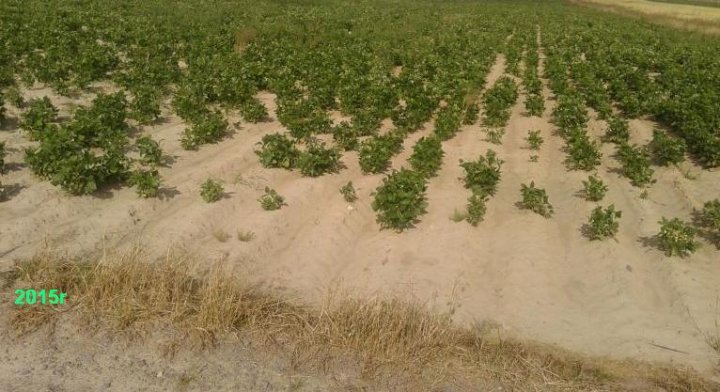 post-213329-0-11277400-1494006824_thumb.